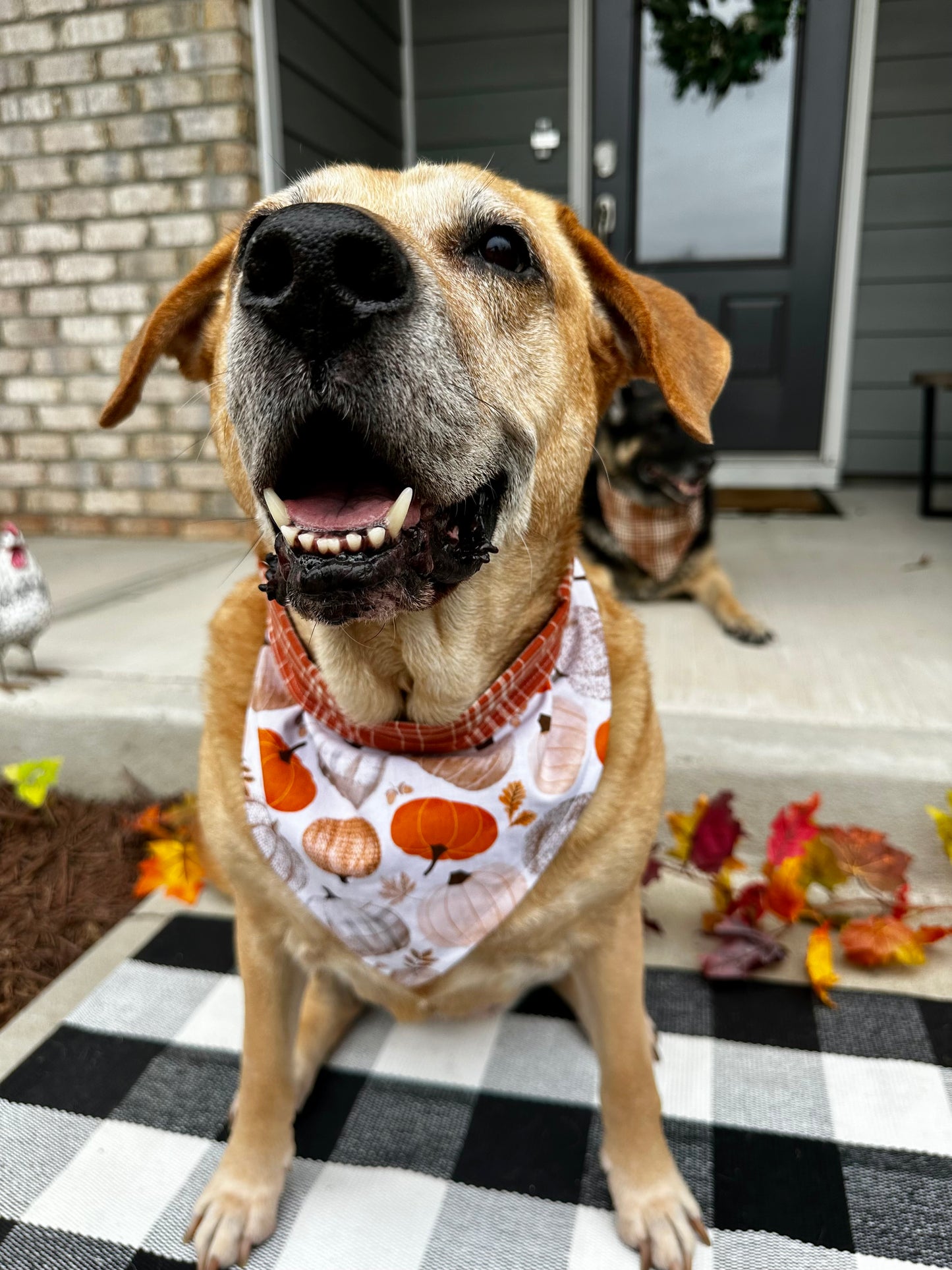 Reversible Pumpkin Patch