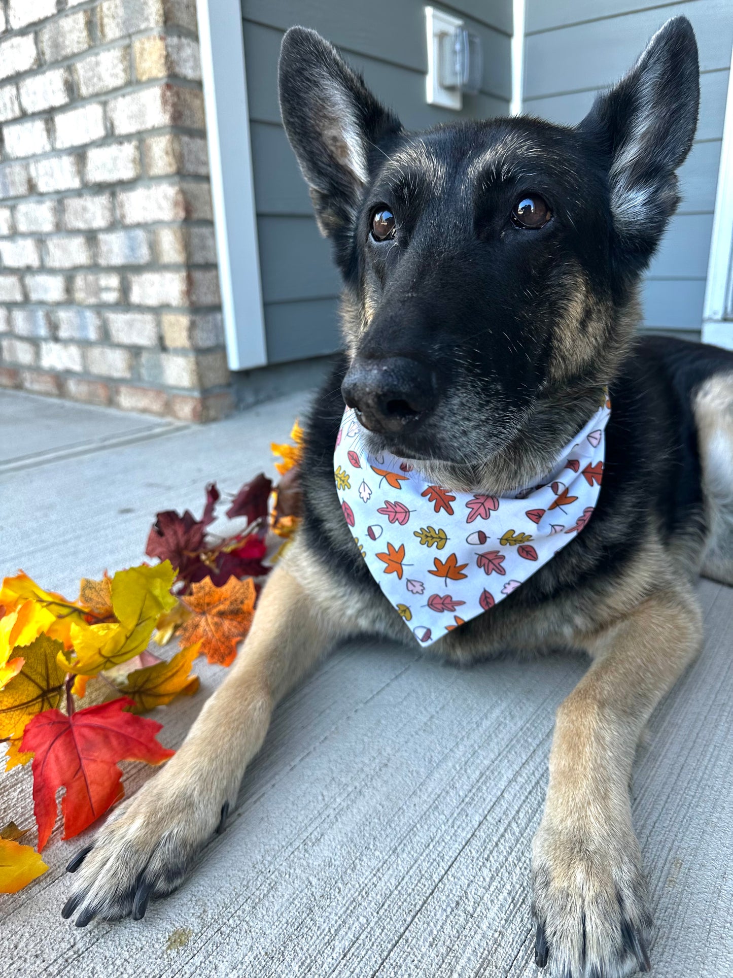 Falling for Fall