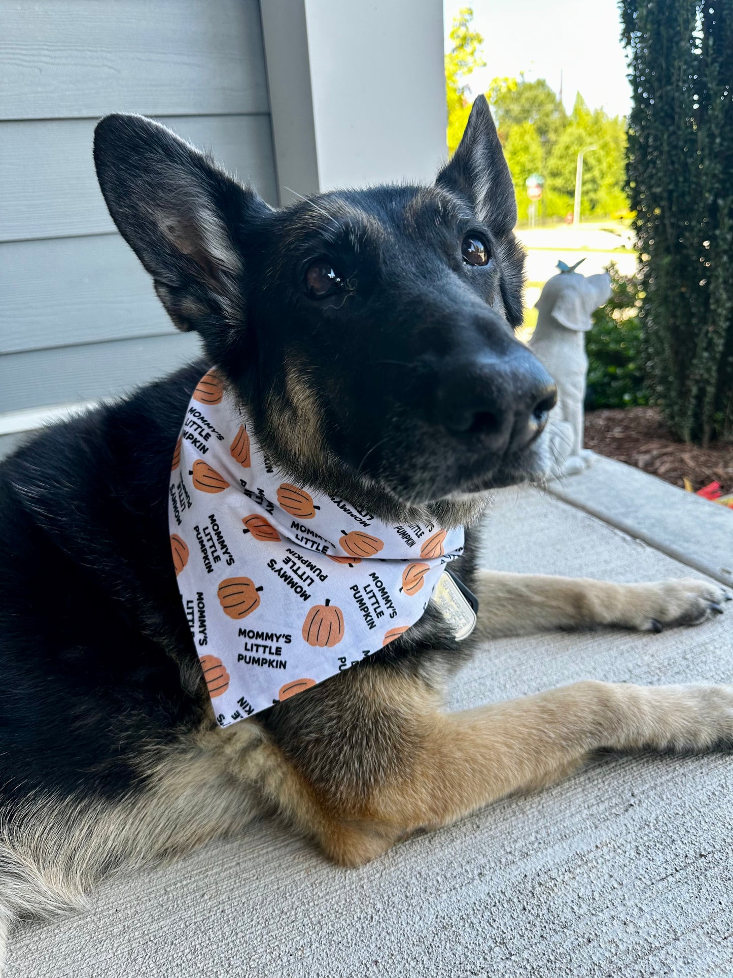 Mommy's Little Pumpkin