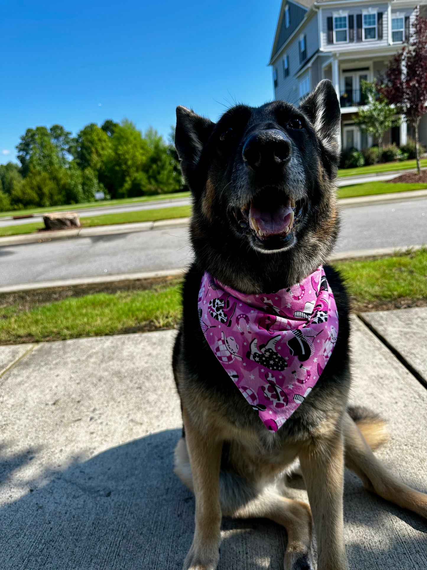 Pink Rodeo Babe