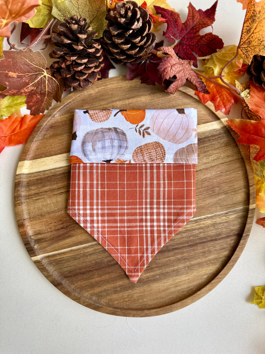 Reversible Pumpkin Patch