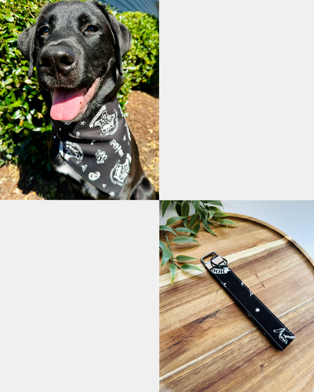 Accio Cuteness Key Fob