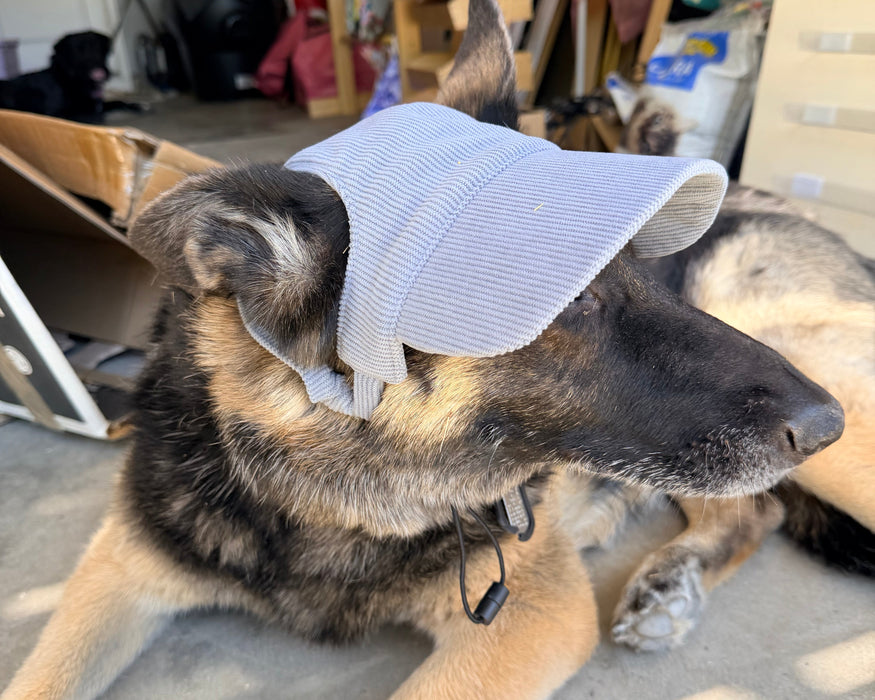 Dog Baseball Hat