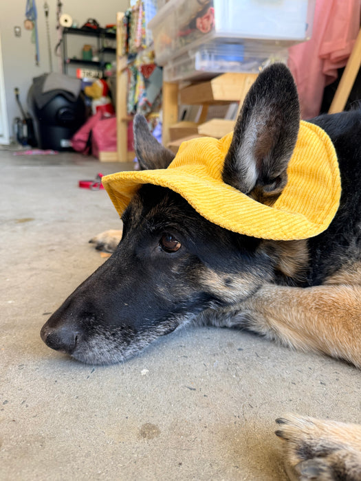 Dog Bucket Hat