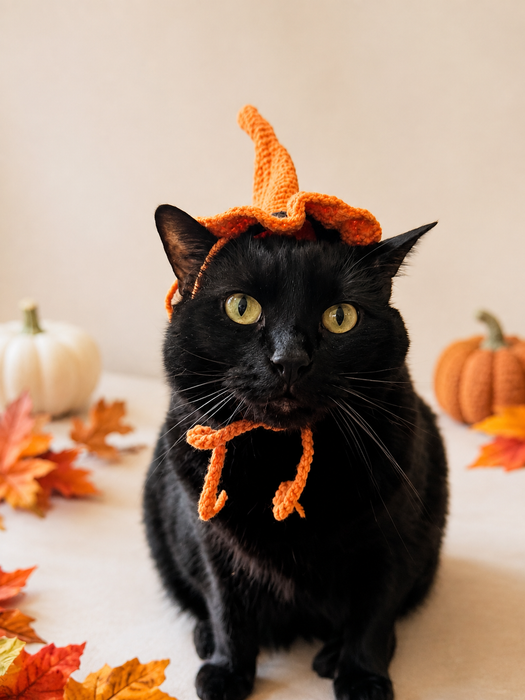 Witch Hat Crochet Hat
