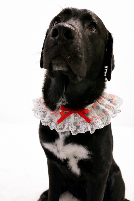 Spring Lace Bandana