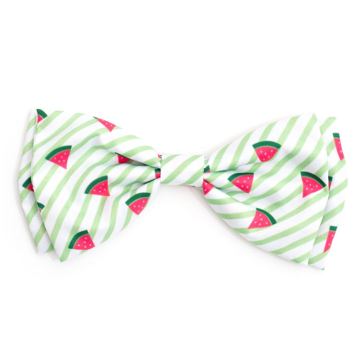 Bows & Bowties