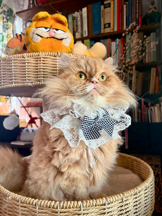 Gingham Bow Lace Bandana