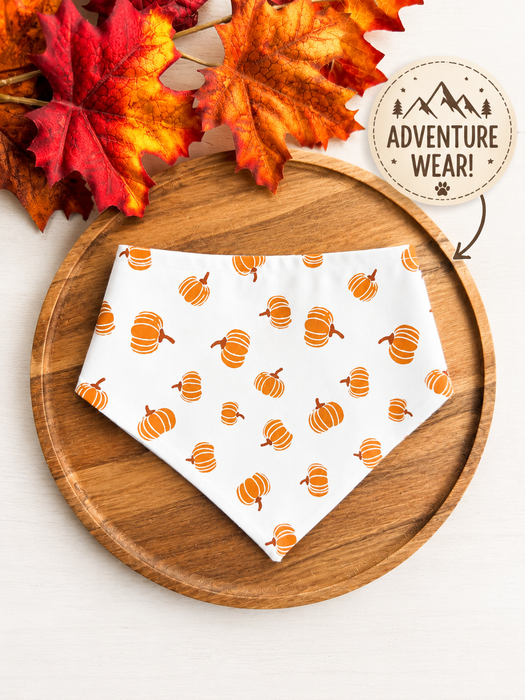 Pumpkin Patch Adventure Bandana