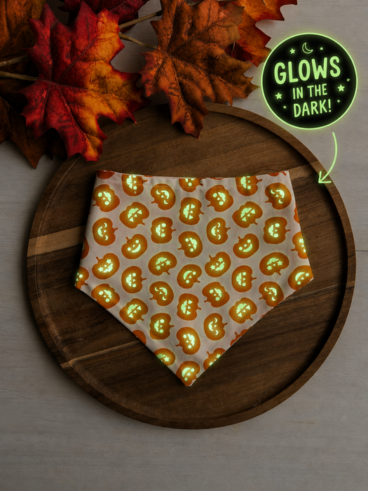 Moonlit Pumpkins Bandana
