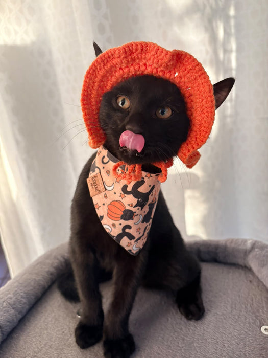Halloween Crochet Hats