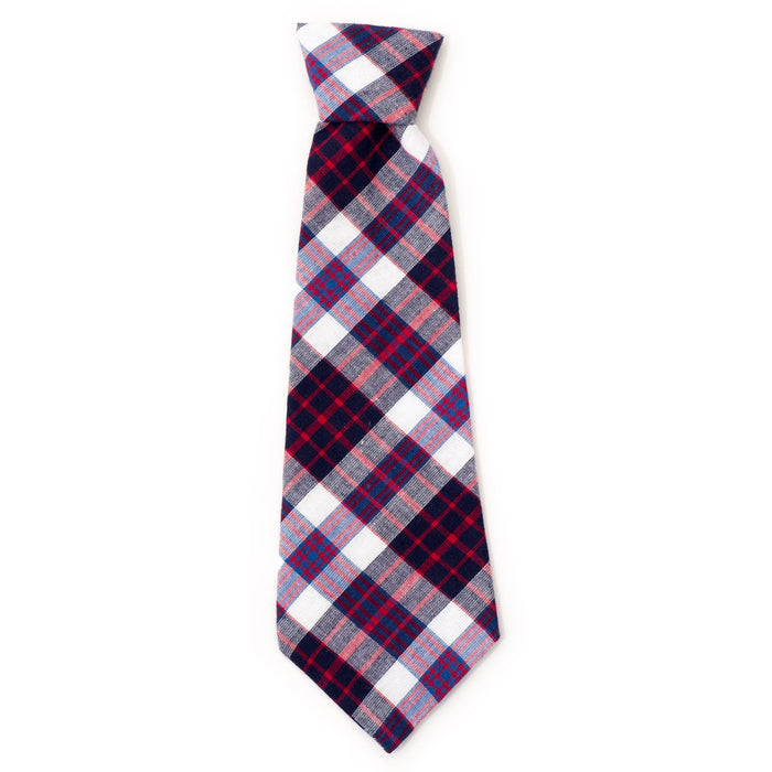 Madras Plaid Neck Tie: Navy/Pink/Turquoise / Small