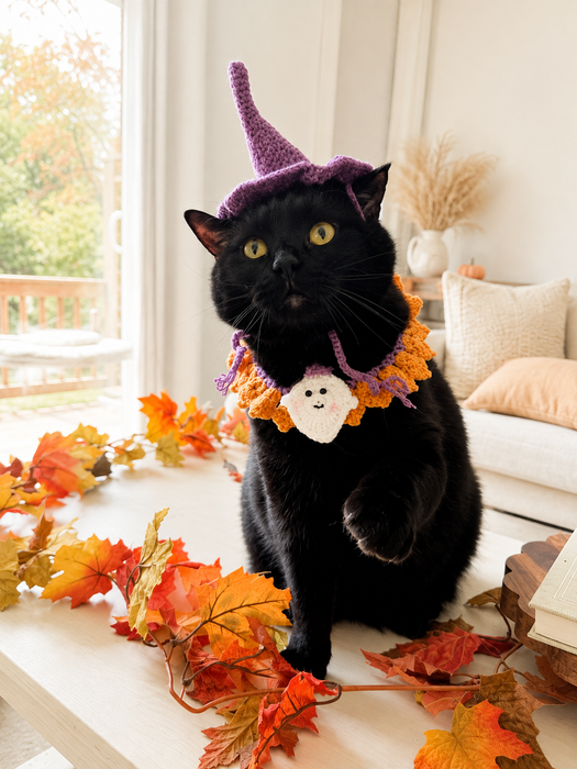 Witch Hat Crochet Hat
