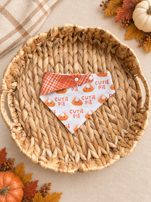 Cutie Pie Reversible Bandana