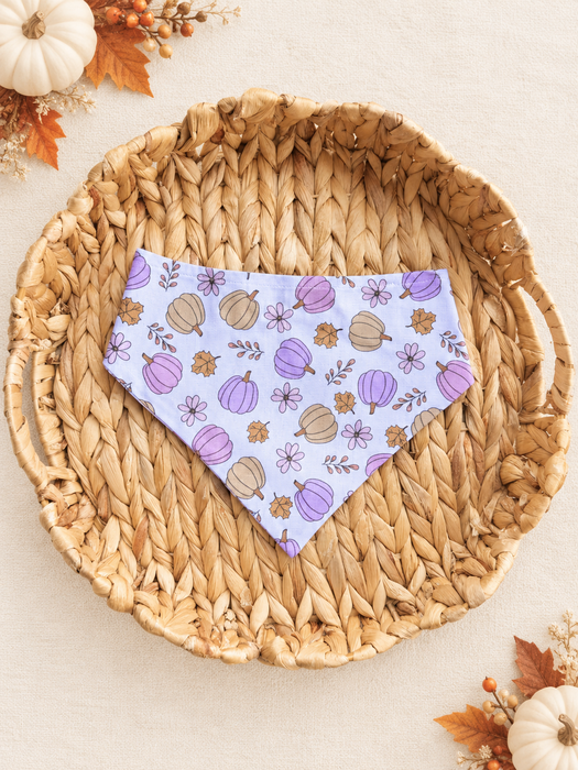 Pink Pumpkins Bandana