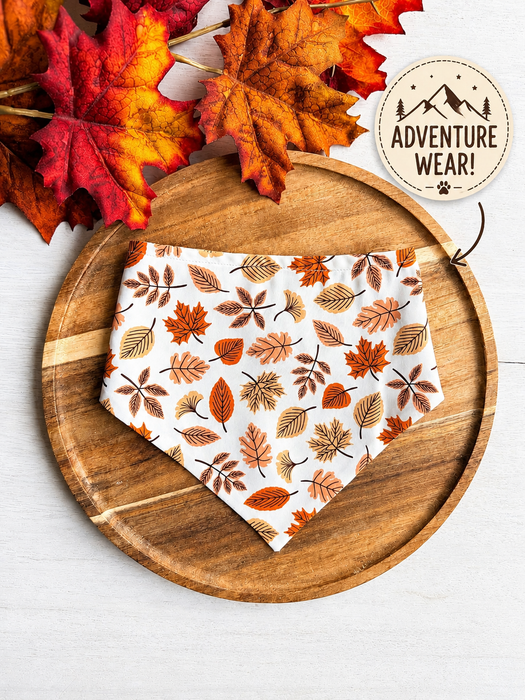 Falling Leaves Adventure Bandana