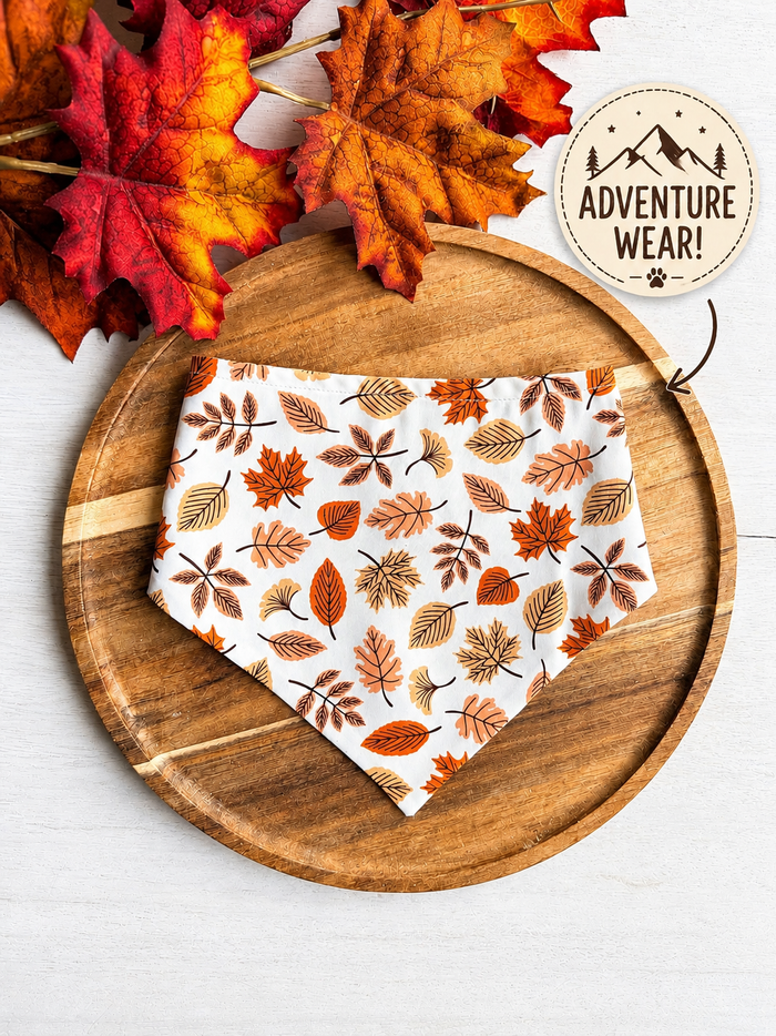 Adventure Wear