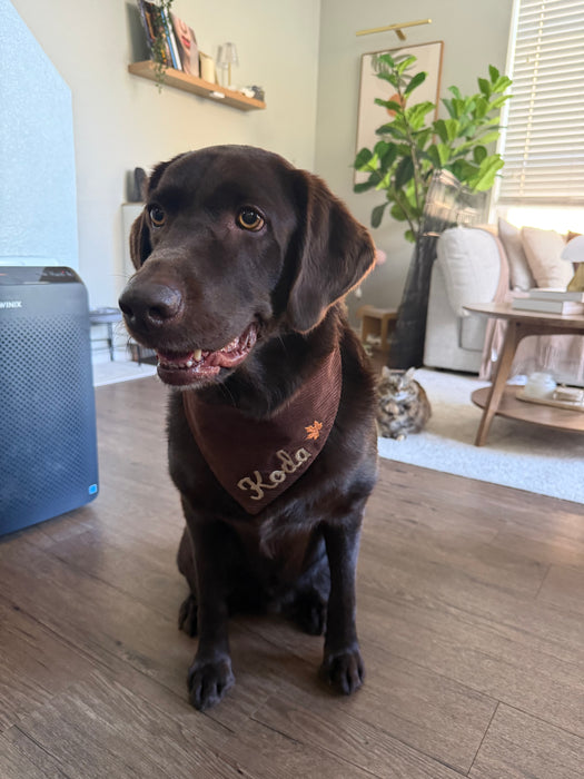 Personalized Embroidered Fall Bandana