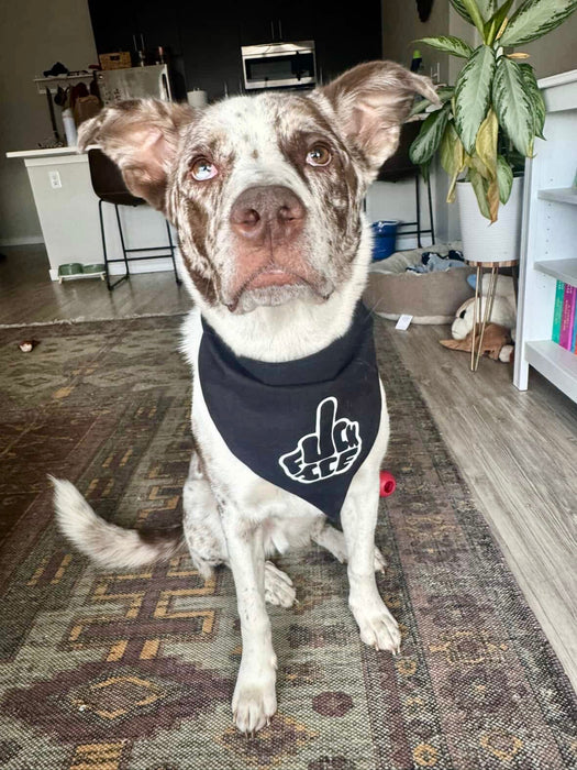 F*ck ICE bandana