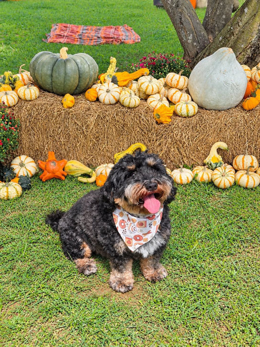 Fall Snacks Reversible Bandana