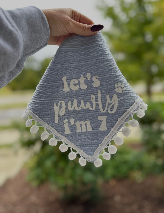 Pom Pom trim