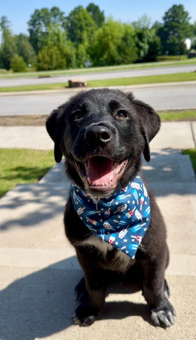 Celebration Pop Bandana