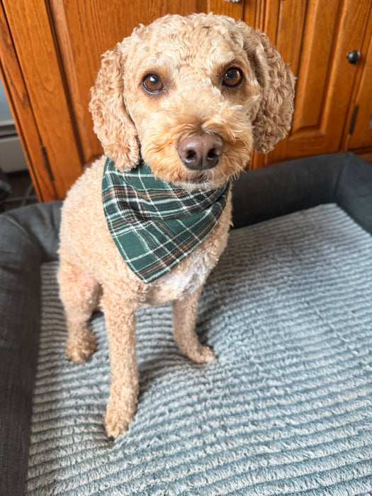 Autumn Woods Plaid Bandana