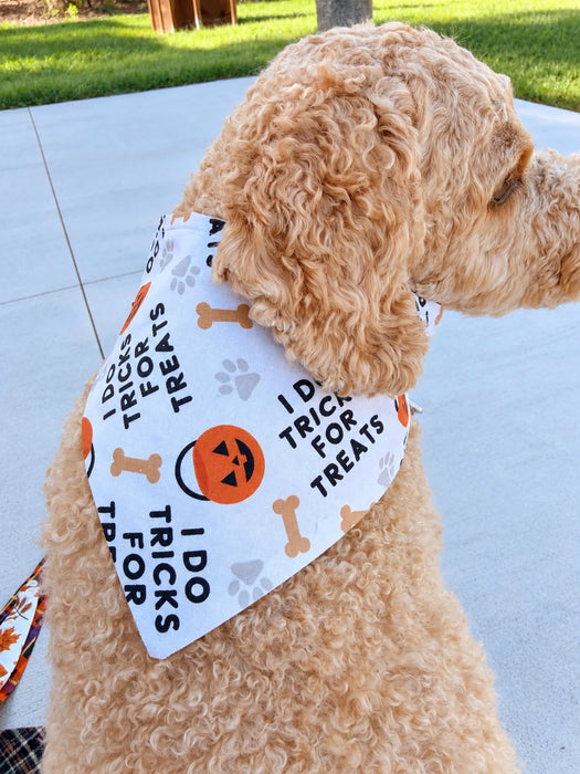 Tricks for Treats Reversible Bandana