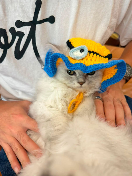 Halloween Costume Crochet Hats