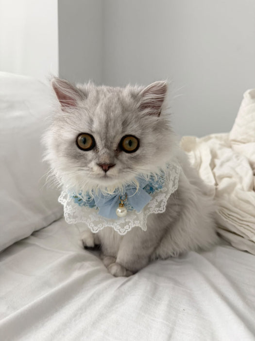 Floral Lace Bow Bandana