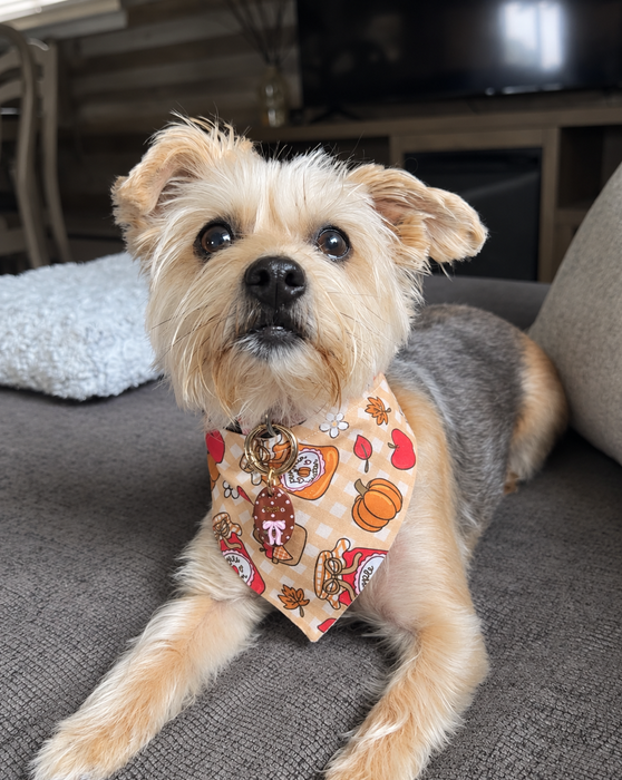 Pumpkin Jam Reversible Bandana