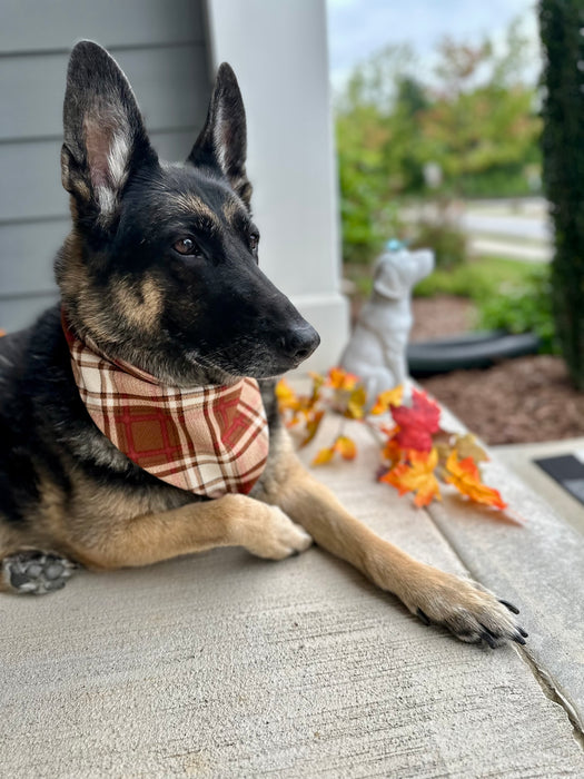 Cinnamon Plaid Knit Bandana