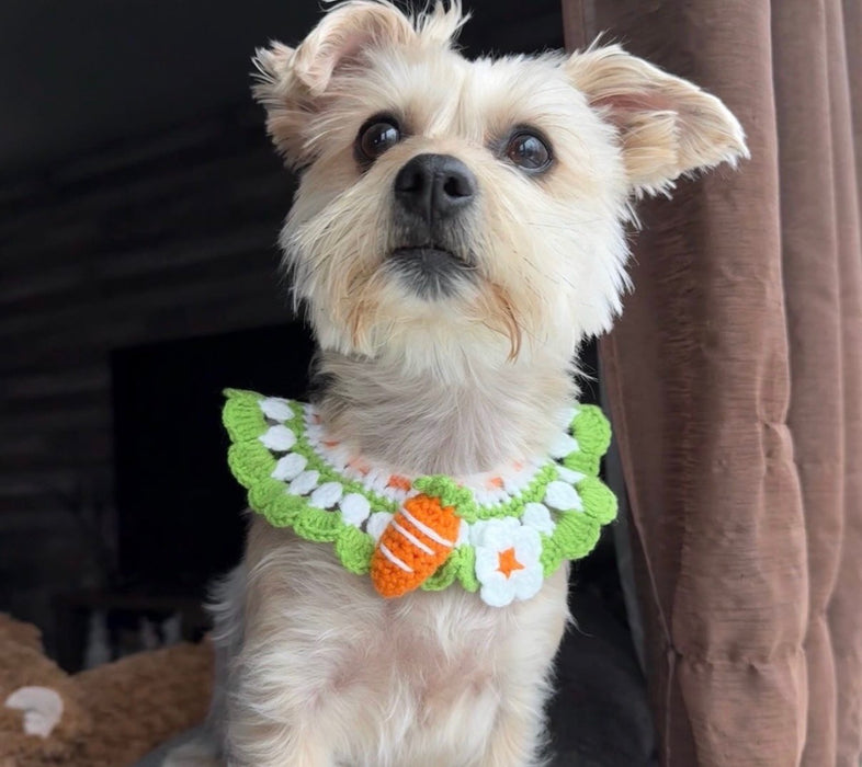 Carrot Crochet Bandana