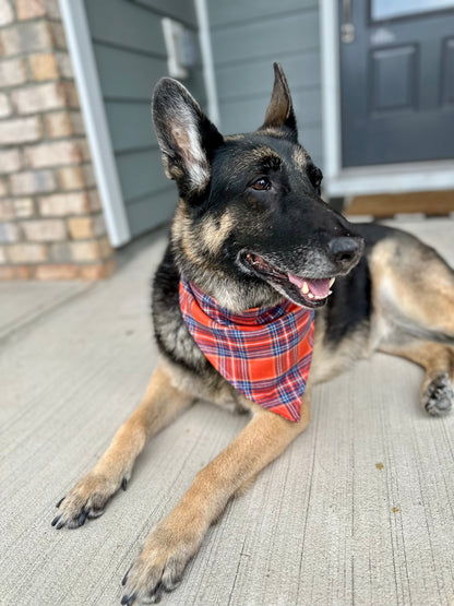 Pumpkin Plaid