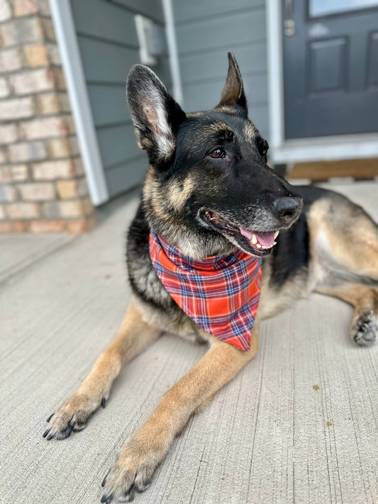 Pumpkin Plaid