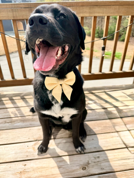 Yellow Pinstripe Sailor Bow