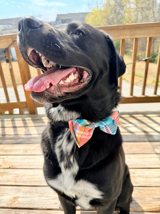 Pretty in Peach Plaid Bow Tie