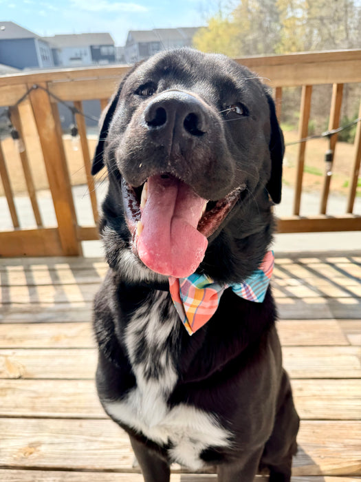 Pretty in Peach Plaid Bow Tie