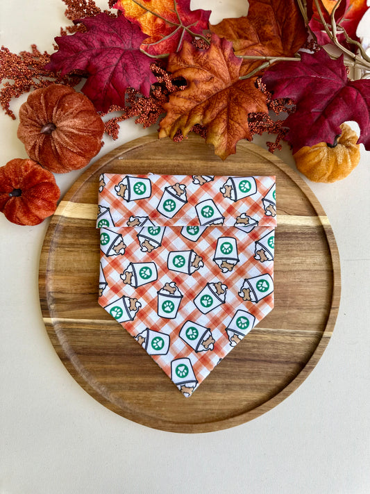Pumpkin-chino