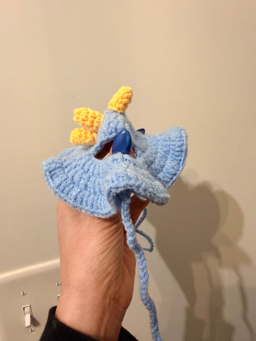 Crochet Hat