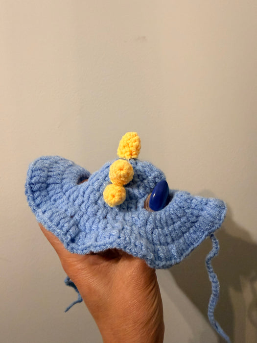 Crochet Hat
