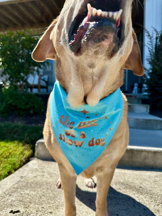Life of a Show Dog
