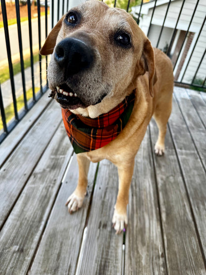 Fall-o-ween