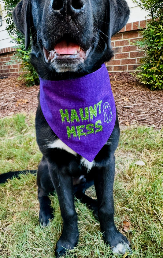 Haunt Mess