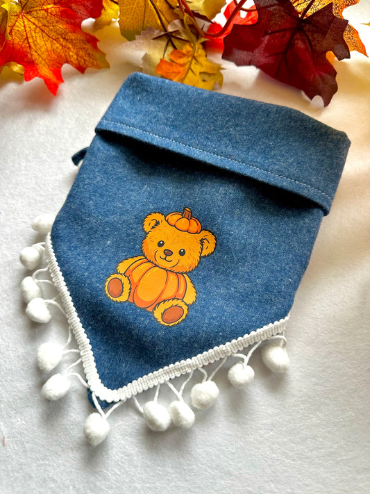 Pumpkin Teddy