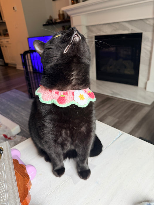 Strawberry Daisy Crochet Bandana