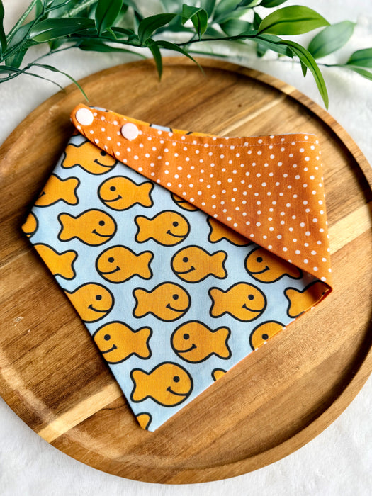 Goldfish Bandana