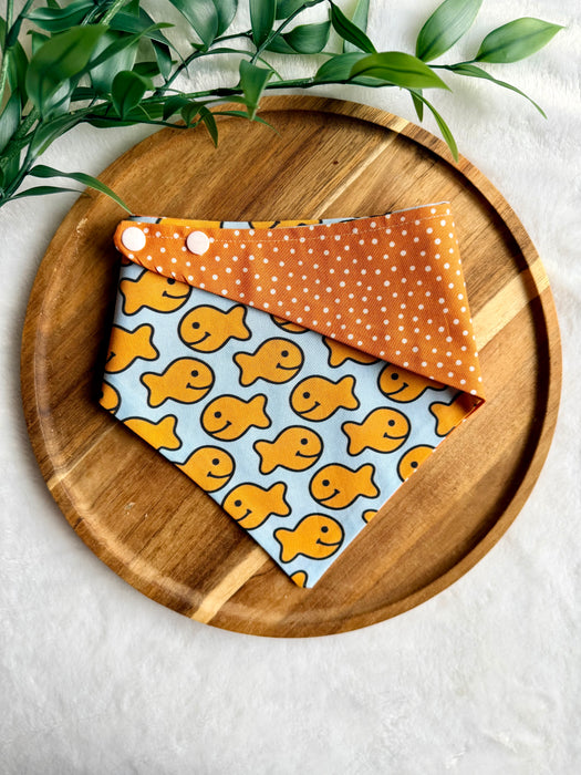 Goldfish Bandana