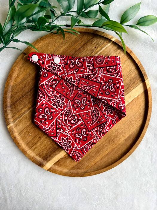 Cherry Paisley Bandana