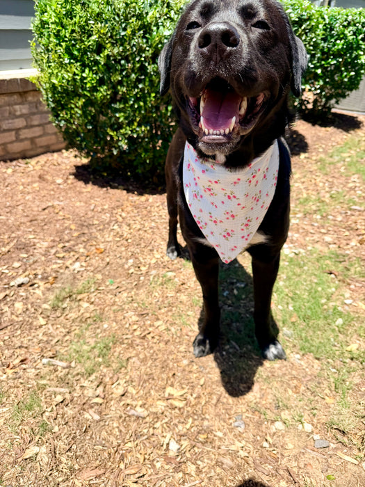 Cottage Blossoms Bandana